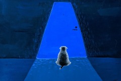 “Constraints” Yu-Ting Chang