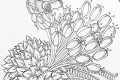 Honey Bee