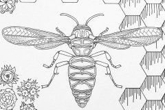 Yellow Jacket Queen