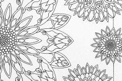 Floral Symmetry