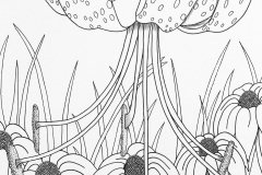 Tiger Lily