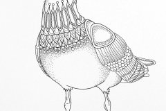 Seagull