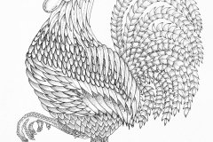 Rooster