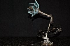 Glass Orchid