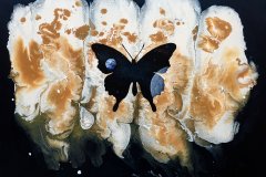 Butterfly Effect #2
