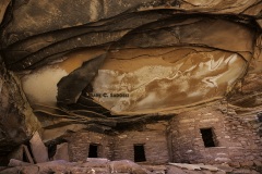 Fallen Roof Ruin I