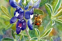 Bee on a Bluebonnet