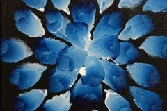 Blue is white