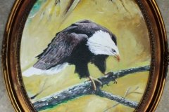 Eagle in antique frame
