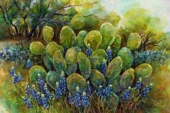 Bluebonnets and Cactus 2