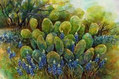 Bluebonnets and Cactus 2 Bluebonnets and Cactus 2