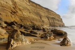 Collection of Carlos Alvarez Zarikian