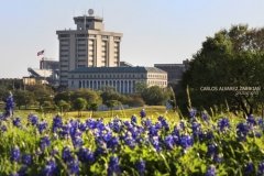 Spring time at Texas A&M University