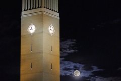 Albritton Bell Tower at Texas A&M University