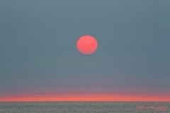 Pink Rising Sun